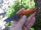 cocobolo small hunter 018.JPG