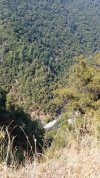 20170902_144713-1134x2016.jpg