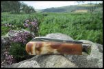 A.Wright SB Large Lambsfoot 9-2.jpg