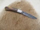 mammoth slipjoint 019.JPG mammoth slipjoint 019.JPG