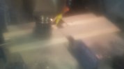 20170911_152253.jpg
