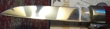 IMG_20170913_185938610.jpg