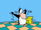 IMG_0071.GIF