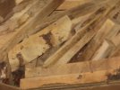spaltedmaple (1).jpg