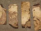 spaltedmaple.jpg