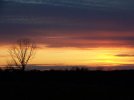 Sunset 11-22-08.jpg