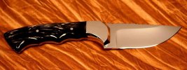 Husky cmp154 001.jpg