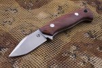 Dan Koster EDC.jpg