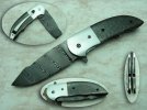 SMALL FLIPPER COMPforum100.jpg