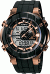casio.gif