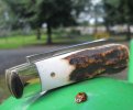 A.Wright Small Swayback Sambar Lambsfoot 2-8.JPG