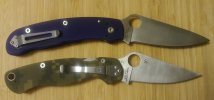 Spydies.jpg