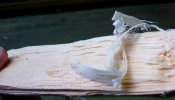 Busse_TGCG-woodahavings1.jpg