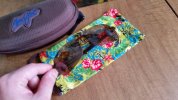 20170927_173704.jpg