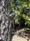 20170502_121111-1512x2016.jpg