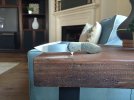 IMG_20171006_161309.jpg