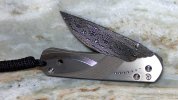 SmReptillain-Open-2.jpg