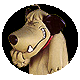5099BA12-4562-49B6-AD80-00FD5C4013AE.gif