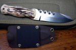 torque stag 2.jpg