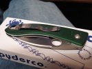 DSC02991-1.jpg