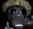 100_0167.jpg