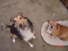 My Babies 028.jpg