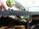 Knives 159.jpg