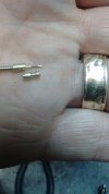 IMG_20170831_153126359.jpg