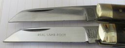 Lamabsfoot Medium-Small.JPG
