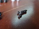 DSC06267.JPG