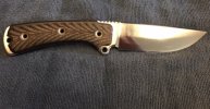 busse3.jpg
