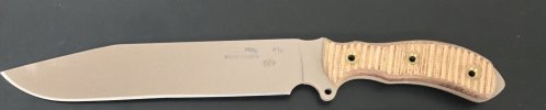 Busse 4.JPG