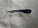 IMG-20171013-WA0014.jpg