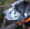 IMG_20171025_174244664~2.jpg