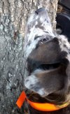 IMG_20171026_174159032~2.jpg