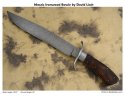 bowie081.jpg