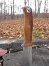 fiddleback bushcraft jr.jpg