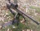 rat700.jpg
