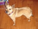 DSC00012.jpg