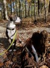 20171025_161222-1512x2016.jpg