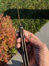 IMG_20171028_3804.jpg