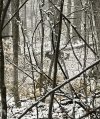 27585E3A-6EF4-48F5-8AC7-6797FEF22ACB.jpeg