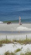 W and L Beach.jpg