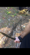 A99CA180-B5C0-408E-80AF-0DFFB5993CA3.png