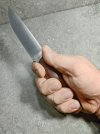 purpleheart-in-hand.jpg