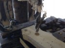 jig-3.jpg jig-3.jpg