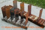 Rust_Test_LongTerm_640.jpg