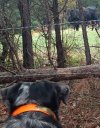 IMG_20171105_154854018~2.jpg