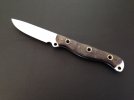 Busse Cultie 1.JPG