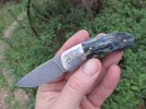 mammoth front flipper 027.JPG